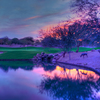 Sanctuary GC