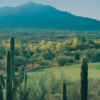 Rancho Manana Golf Club